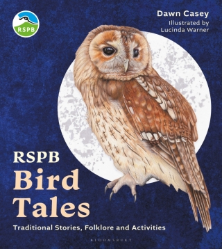 Imagen de portada: RSPB Bird Tales 1st edition 9781399406901