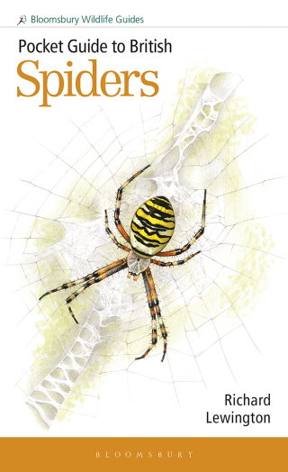 Cover image: Pocket Guide to British Spiders 1st edition 9781399406987