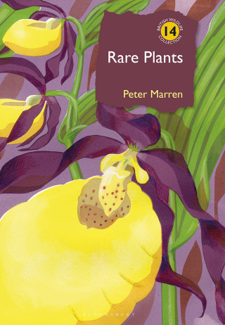 Cover image: Rare Plants 1st edition 9781399407328