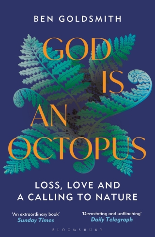 Imagen de portada: God Is An Octopus 1st edition 9781399408356