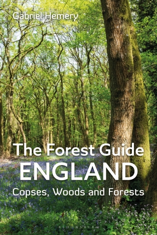 Imagen de portada: The Forest Guide: England 1st edition 9781399409063