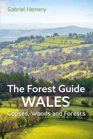 Cover image: The Forest Guide: Wales 1st edition 9781399409124