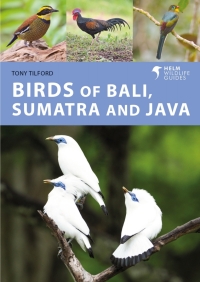 صورة الغلاف: Birds of Bali, Sumatra and Java 1st edition 9781472986870