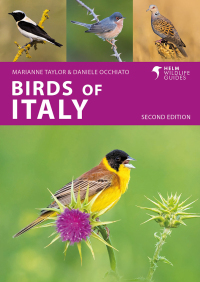 表紙画像: Birds of Italy 1st edition 9781399410649