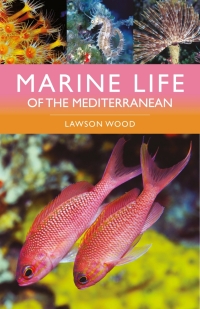 Titelbild: Marine Life of the Mediterranean 2nd edition 9781399411707