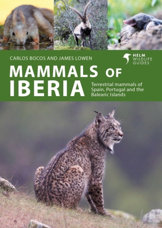 Cover image: Mammals of Iberia 1st edition 9781399411936