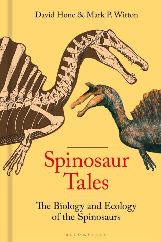 Cover image: Spinosaur Tales 1st edition 9781399412469