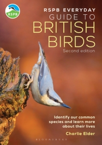 Immagine di copertina: The RSPB Everyday Guide to British Birds 1st edition 9781399413275