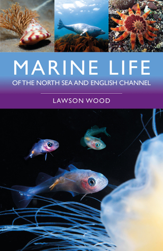Cover image: Marine Life of the North Sea and English Channel 2nd edition 9781399415521