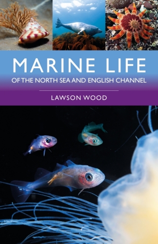 Cover image: Marine Life of the North Sea and English Channel 2nd edition 9781399415521