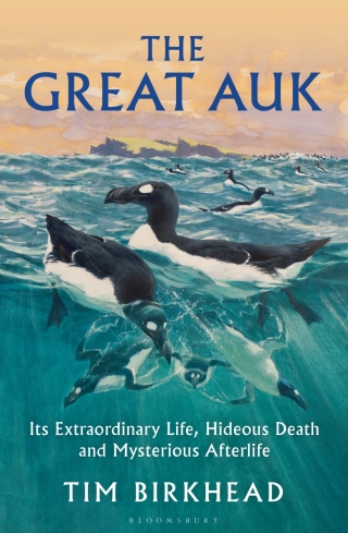 Cover image: The Great Auk 1st edition 9781399415743