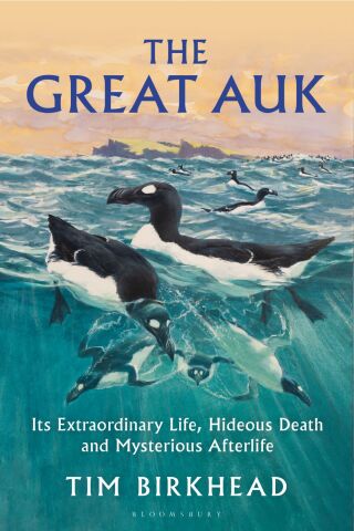 Cover image: The Great Auk 1st edition 9781399415743