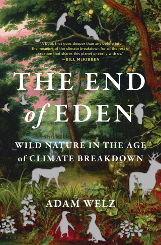 Cover image: The End of Eden 1st edition 9781399415873