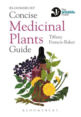 Cover image: Concise Medicinal Plants Guide 1st edition 9781399418102