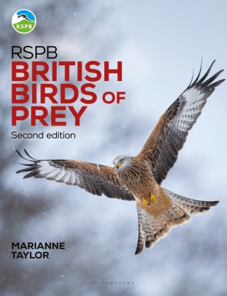 Imagen de portada: RSPB British Birds of Prey 2nd edition 9781399421126