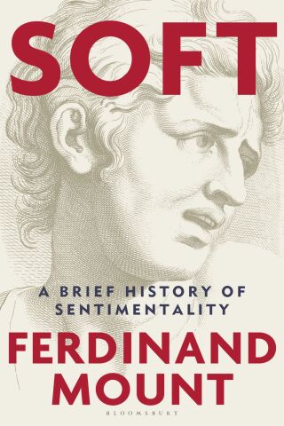 Imagen de portada: Soft 1st edition 9781399421881