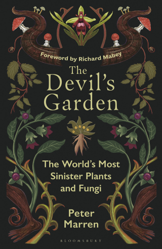 Cover image: The Devil’s Garden 1st edition 9781399425469