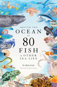 Cover image: Around the Ocean in 80 Fish and other Sea Life 9781399602785