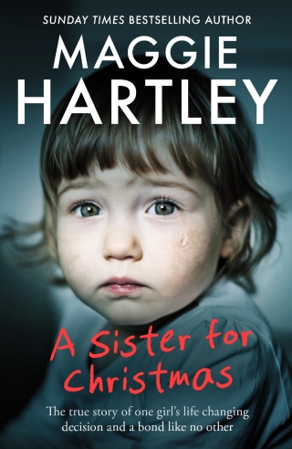 Cover image: A Sister for Christmas 9781399620918