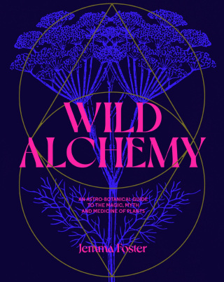 Cover image: Wild Alchemy 9783962444198