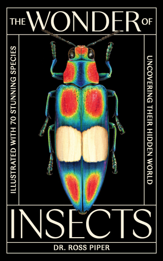 Cover image: The Wonder of Insects: Uncovering their Hidden World 9781399625715