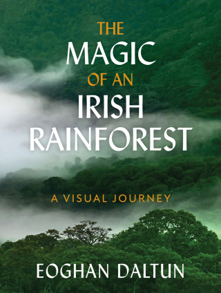 Cover image: The Magic of an Irish Rainforest 9781399725606