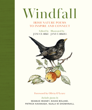 Cover image: Windfall 9781399729611