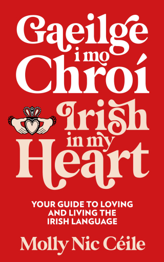 Cover image: Gaeilge i Mo Chroí - Irish In My Heart 9781399731980