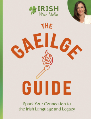 Cover image: The Gaeilge Guide 9781399751582