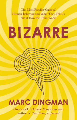 Cover image: Bizarre 9781399801201