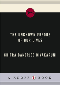 Cover image: The Unknown Errors of Our Lives 9780385497282