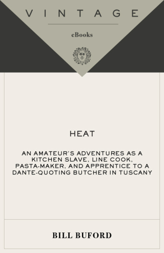 Cover image: Heat 9781400041206