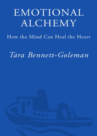 Cover image: Emotional Alchemy 9780609809037
