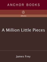 Cover image: A Million Little Pieces 9781400031085