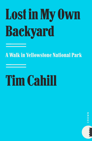 Cover image: Lost in My Own Backyard 9781400046225