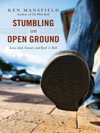 Cover image: Stumbling on Open Ground 9781400204601