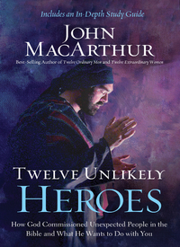 Cover image: Twelve Unlikely Heroes 9781400206117