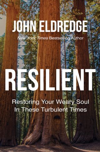 Cover image: Resilient 1st edition 9781400208647