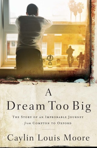 Cover image: A Dream Too Big 9781400209910