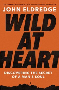 Cover image: Wild at Heart Expanded Edition 9781400225262