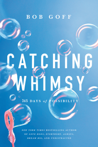 Cover image: Catching Whimsy 9781400226986