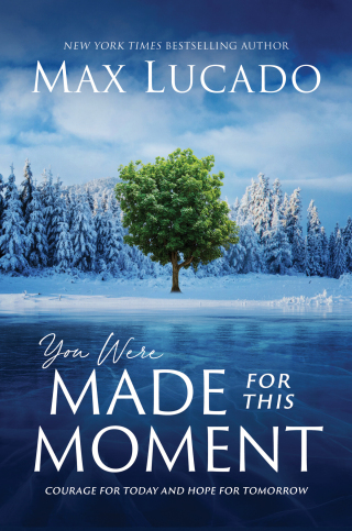 Cover image: You Were Made for This Moment 1st edition 9781400231799