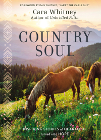 Cover image: Country Soul 9781400233786