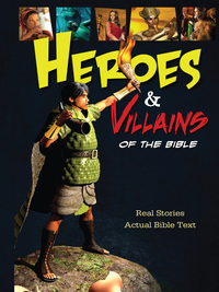 Cover image: Heroes and Villains of the Bible 9781400316854