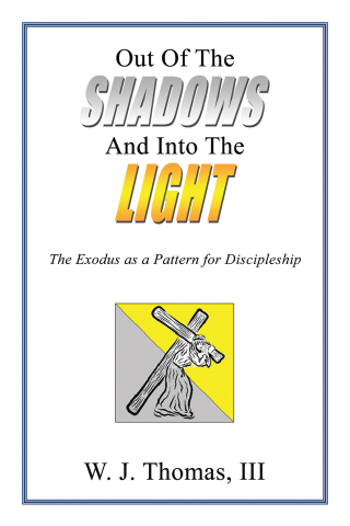 Cover image: Out Of The Shadows And Into The Light 9781400330584