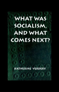 Omslagafbeelding: What Was Socialism, and What Comes Next? 9780691011332