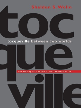 表紙画像: Tocqueville between Two Worlds 9780691074368