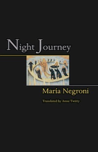 Immagine di copertina: Night Journey 9780691090979