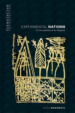 Imagen de portada: Experimental Nations 9780691089379