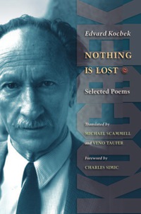 Cover image: Nothing is Lost 9780691118390